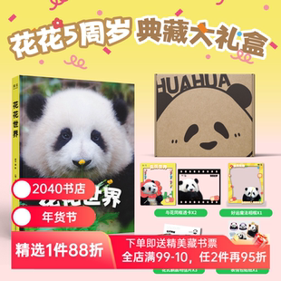 花花世界 邱可摄影 花花5周岁典藏礼盒 赠明信片*3+透卡*2+贴纸+相框 160张高清近照 熊猫周边 治愈萌宠 2040书店