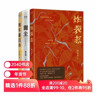 炸裂志+微尘+陈年喜的诗(套装3册) 陈年喜 矿工诗人 易中天推荐 小嘉推荐 冲天一喊 劳动人民文学 诗歌文学 2040书店