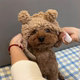 狗狗帽子四季 宠物小熊毛绒头套英短可爱耳朵猫咪小型犬搞怪拍照头