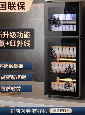 商用消毒柜小型立式大容量饭店厨房酒店餐具消毒碗柜家用保洁柜