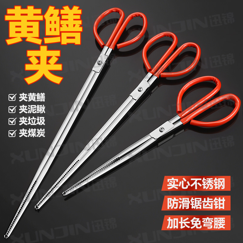 鳝鱼夹泥鳅螃蟹钳子不锈钢黄鳝夹