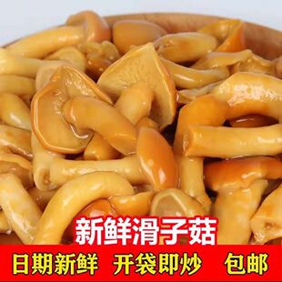 滑子菇新鲜东北特产滑子蘑蘑菇食用菌清炒凉拌煲汤家用500g包邮