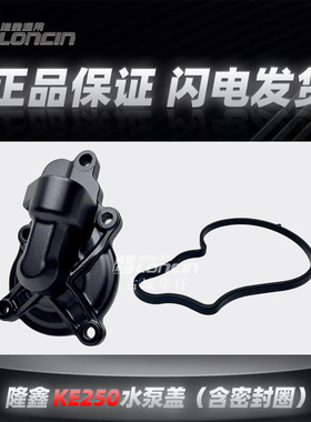 隆鑫KE250无极250RR恒舰S5 LX250GS发动机水泵盖水泵总成原厂正品