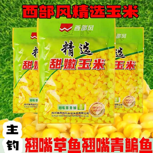 西部风米翘生鲜玉米甜嫩玉米青草鲤鳊鱼翘嘴野钓鱼饵VB玉米打窝料