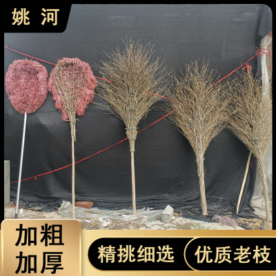 笤帚车间环卫扫把老枝耐用结实