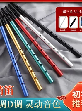 新品跨境乐器爱尔兰哨笛C调D调哨笛 用竖笛笛子短笛乐器