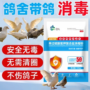 过硫酸氢钾日常消毒水消毒粉养鸽专用鸽舍鸽棚鸽笼养殖场专用杀菌