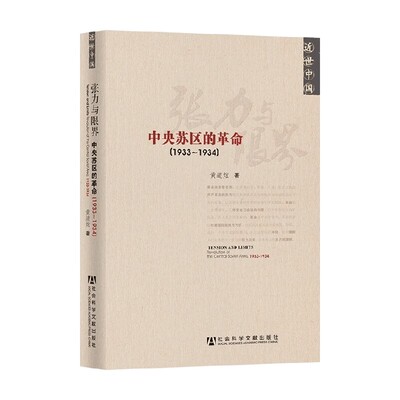 张力与限界黄道炫政治
