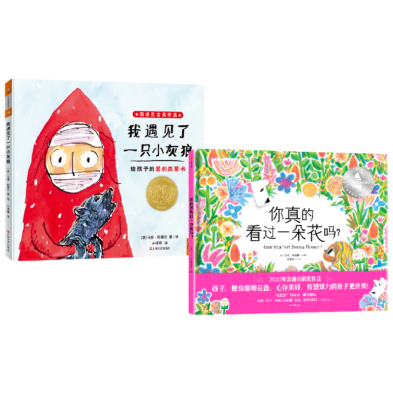 【正版书籍】你真的看过一朵花吗+我遇见了一只小灰狼 3-6岁 马修·科德尔 等著 儿童绘本