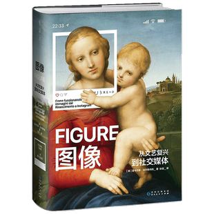 【正版书籍】图像 从文艺复兴到社交媒体 里卡尔多·法尔奇内利 著 艺术