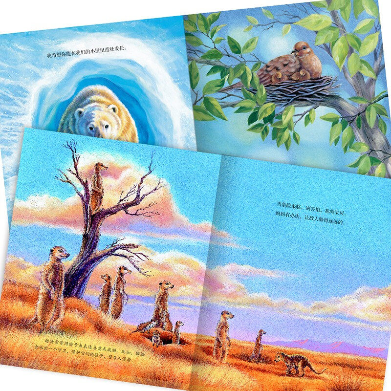 【正版书籍】妈妈的爱 3-6岁 维吉尼亚·克罗尔 著 儿童绘本