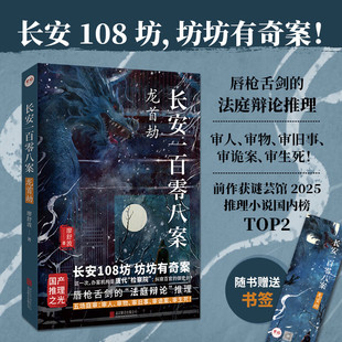 长安一百零八案 龙首劫 廖舒波 著 小说