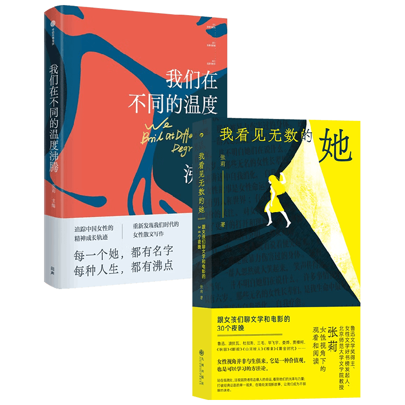 【正版书籍】 我们在不同的温度沸腾+我看见无数的她 张莉作品2册 张莉 著 文学