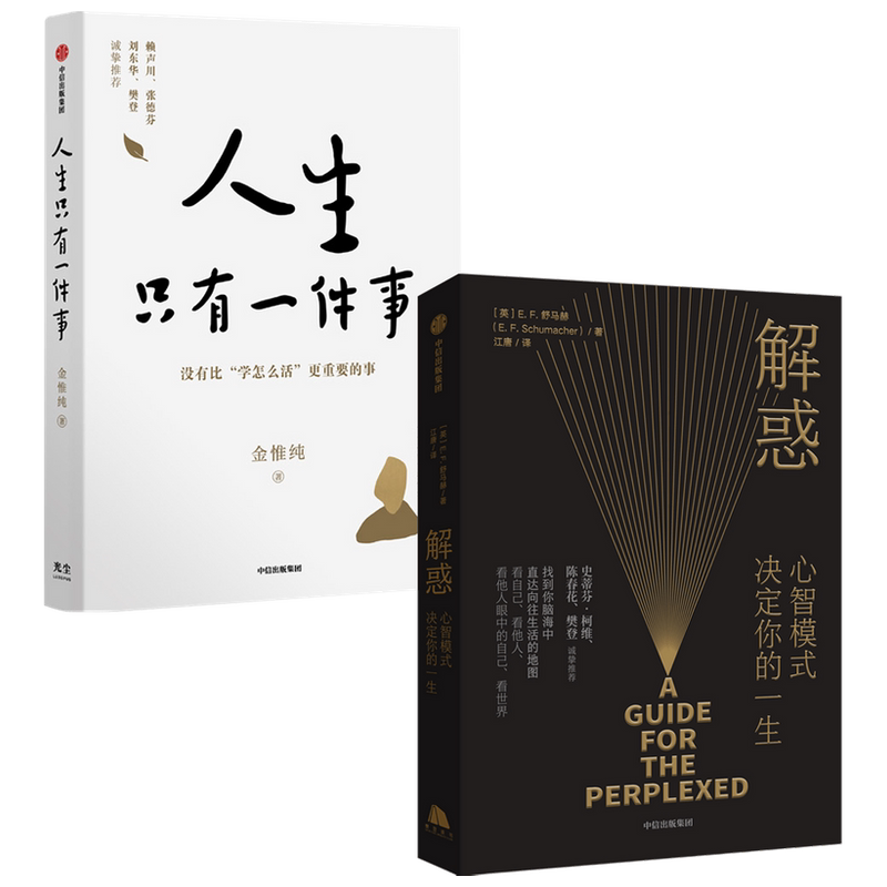 【正版书籍】解惑：心智模式决定你的一生+人生只有一件事 套装2册