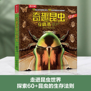 奇趣昆虫立体书 6岁 著 书籍 帕特·雅各布斯 玩具书 正版