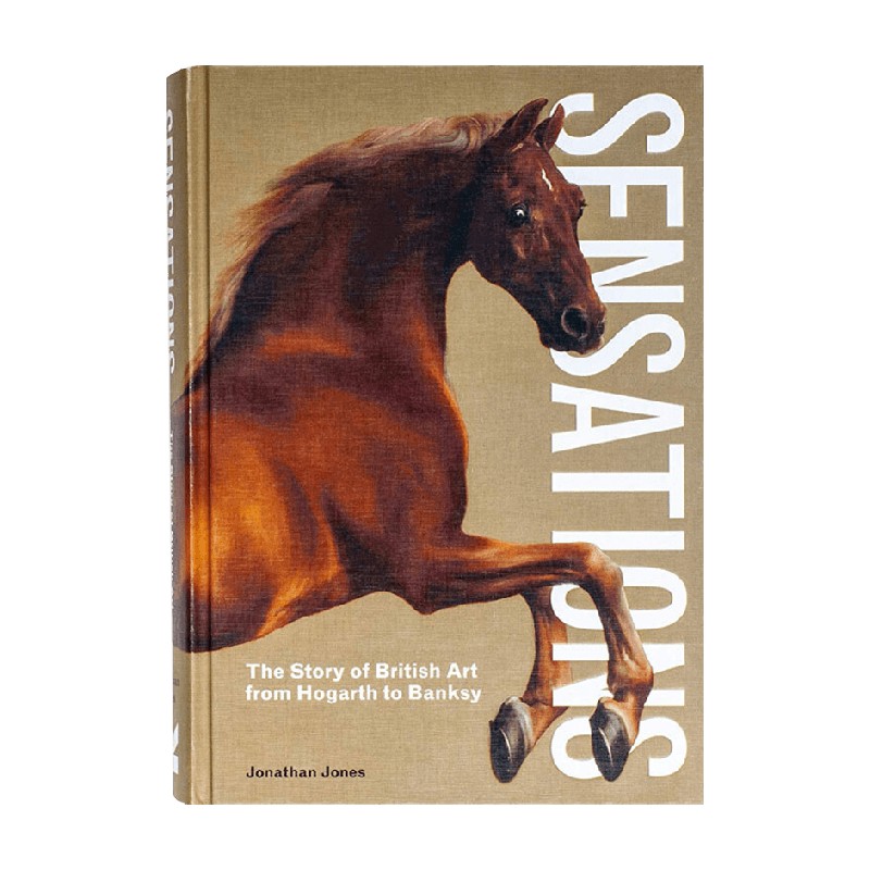 【正版书籍】英文原版 Sensations 英国艺术的故事 从霍加斯到班克西
