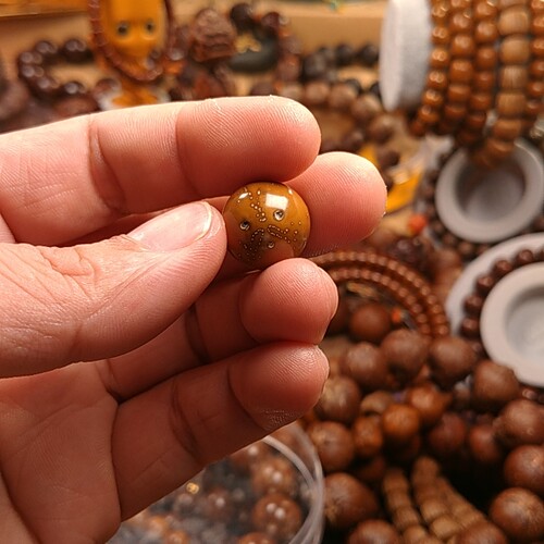缘来紫金鼠光珠15