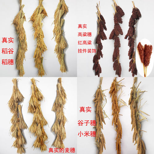 五谷杂粮挂件稻谷稻穗麦穗高粱串
