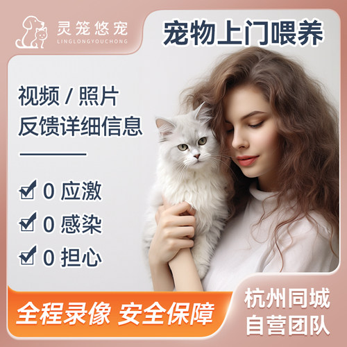 灵笼悠宠杭州上门喂猫遛狗照顾