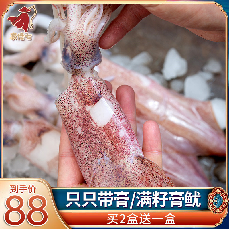 舟山小管鱿鱼 新鲜笔管鱿鱼海兔带膏 鱿鱼鲜活冷冻水产满籽小鱿鱼