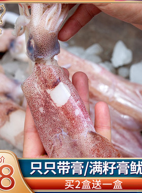 新鲜舟山笔管带膏冷冻水产小鱿鱼