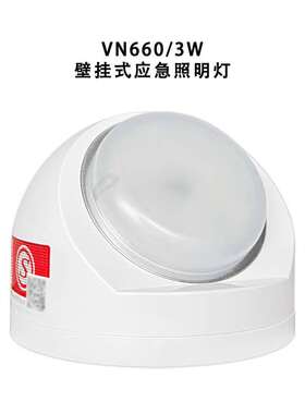 海湾HW-ZFJC-E3W-VN650集中电源控制型消防应急照明灯具SN650二线