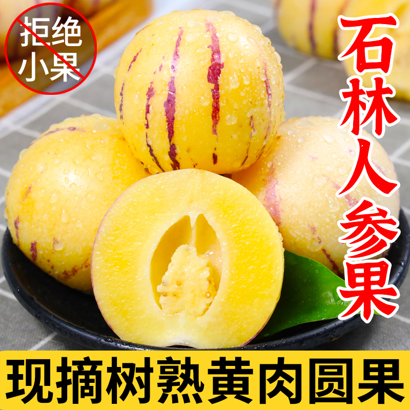 云南石林人参果树上熟现摘现发