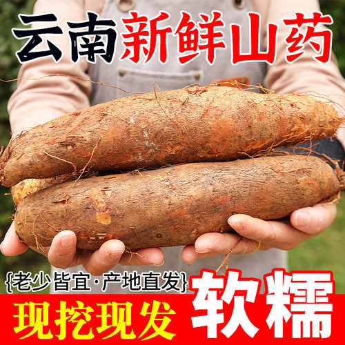 云南新鲜糯米山药农家自种蔬菜
