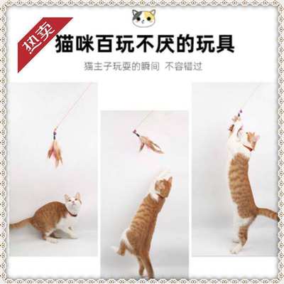 小猫猫玩具逗猫棒啃咬可弯曲防挠家具粉色小铃铛宠物韧性耐咬成猫