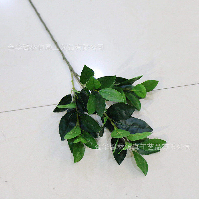 精品桔子叶香泡树仿真树叶绿景园林装饰柠檬叶柚子叶冬季小区叶子