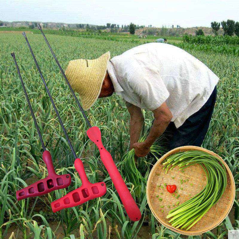 提蒜苔神器抽蒜苔神器 手工收割器拔蒜苗农用具抽剥器薹