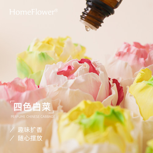 香水白菜香薰植物通草干花摆件