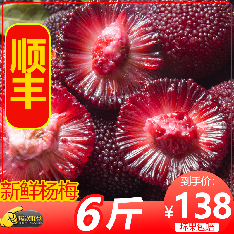 【顺丰包邮】浮宫新鲜杨梅6斤装福建现摘应季批发现货时令水果