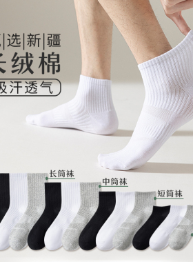 白色袜子男春夏100%纯棉防臭中筒袜运动篮球长筒袜新疆棉袜体育生