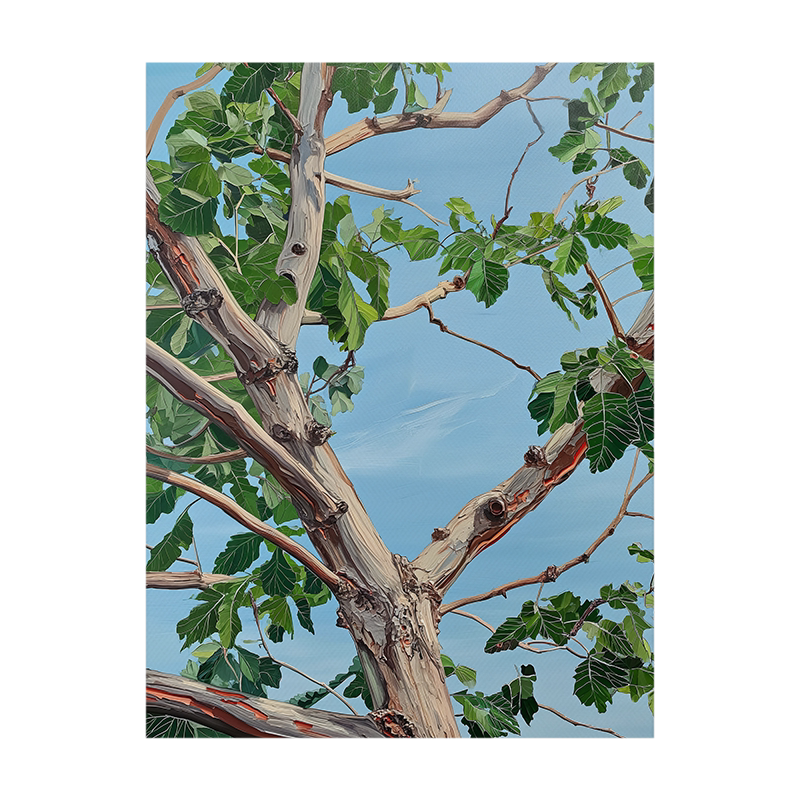 Jellypaint原创手绘客厅风景油画