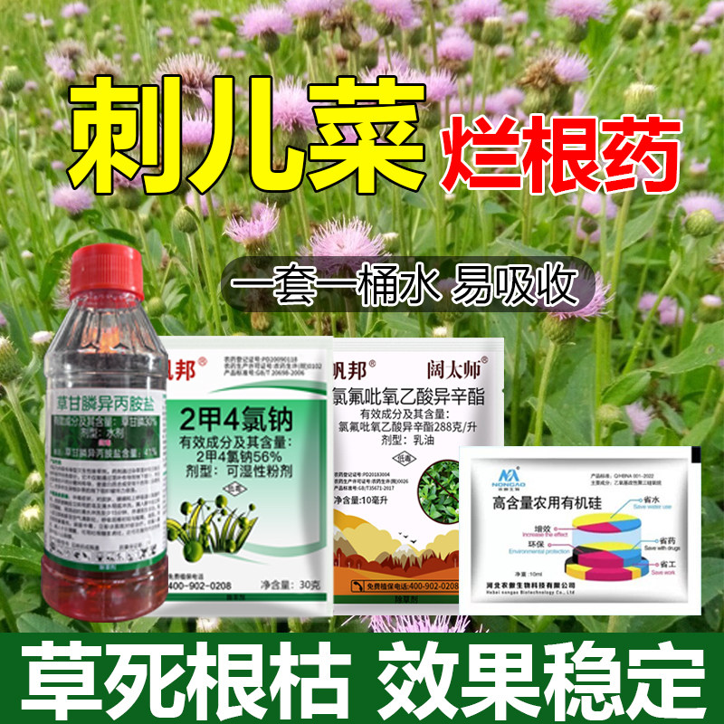 草甘膦正品除草组合套餐除刺儿菜烂根死根枯死专用除杂草烂根农药 - 实物图