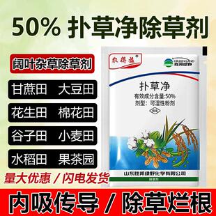 农得益50%扑草净除草剂除杂草一扫浮萍青苔水草扑草净正品除草剂