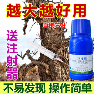 环嗪酮哃灌木死根专用药强力一针腐大竹子根枯死神器正品除根水剂