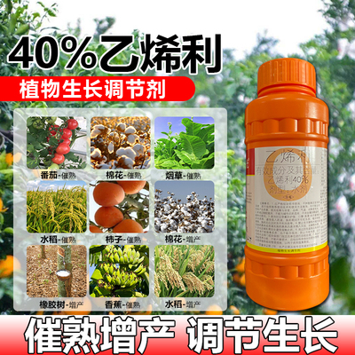 乙烯利水稻柿子香蕉番茄棉花增加产量催熟剂核桃剥皮用生长调节剂
