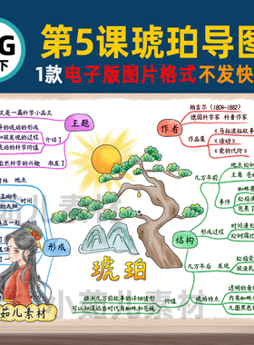 B588四语下第5课琥珀思维导图彩图+线稿电子版图片