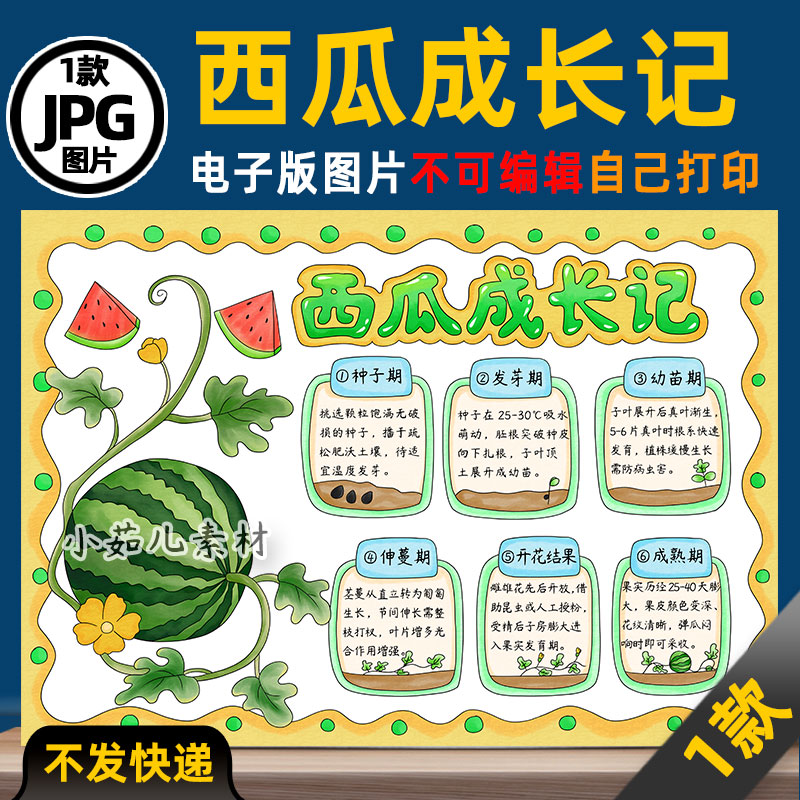 1065西瓜成长记手抄报植物成长记手抄报电子版线稿图片素材