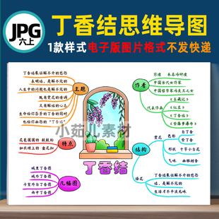 思维导图线稿电子图片自己打印 丁香结 B378 六语上