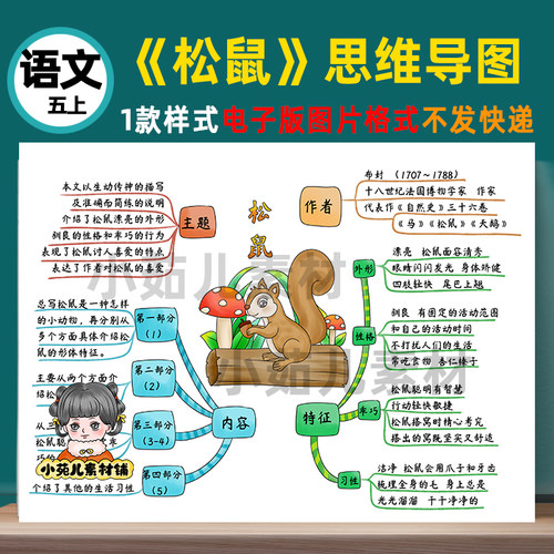 B449五语上《松鼠》思维导图电子版彩图线稿自己打印