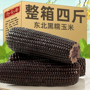 黑糯玉米棒东北甜糯苞米早餐真空包装即食黏玉米软糯新鲜苞米杂粮