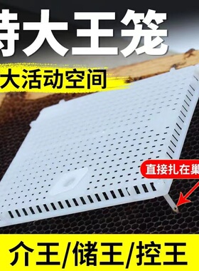 蜜蜂囚王笼大号塑料针式多功能储王器中意蜂专用介王防逃扣峰王笼