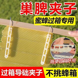 巢脾夹过箱导础夹子野蜂过箱土养圆桶夹脾塑料夹绑脾条固定条包邮