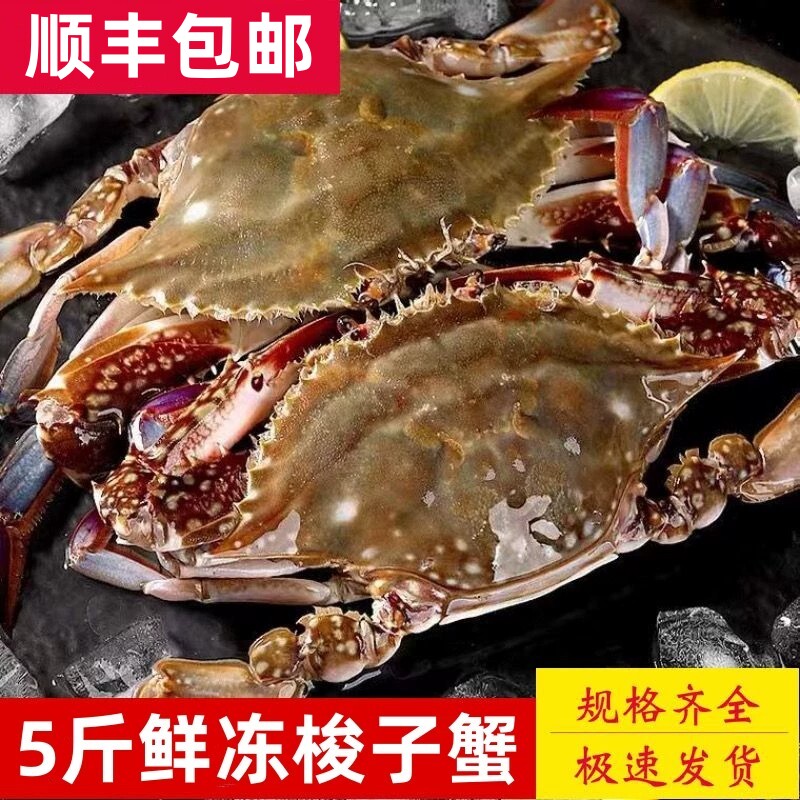 5斤梭子蟹冷冻冻蟹新鲜海蟹小飞蟹青蟹螃蟹海鲜水产批发图片