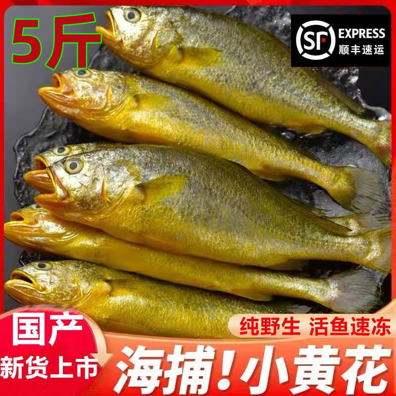 5斤野生小黄鱼新鲜冷冻一整箱黄黄鱼