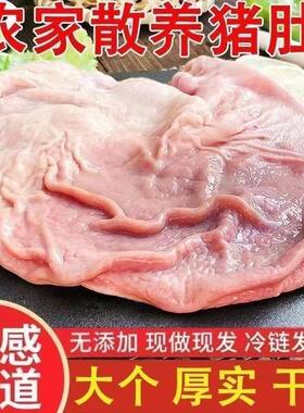新鲜猪肚干净农家土猪胃袋散养猪肚大肚子冷冻去油批发特厚猪肚子