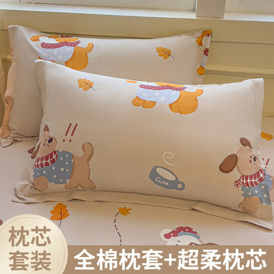 A类抗菌枕芯枕头罩套装可拆洗